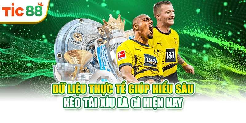 Dữ liệu thực tế giúp hiểu sâu kèo Tài Xỉu là gì hiện nay