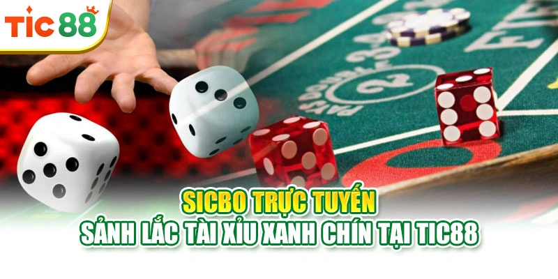 Sicbo Trực Tuyến | Sảnh Lắc Tài Xỉu Xanh Chín Tại Tic88