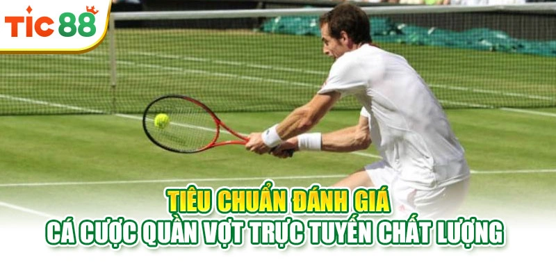 Tiêu chuẩn đánh giá cá cược quần vợt trực tuyến chất lượng